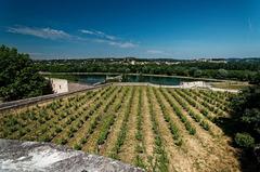 View northwest from Montée des Moulins in Avignon featuring Côtes du Rhône vineyard, city ramparts, Pont St-Bénézet, Île de la Barthelasse, Villeneuve-lès-Avignon, and Fort Saint-André