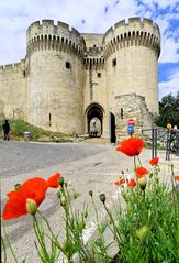 Scenic view of Villeneuve-Les-Avignon during the time of the Popes