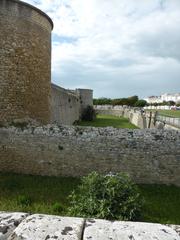 Fouras donjon douves