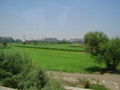 panoramic view of Cairo cityscape with prominent minarets and buildings under a clear sky