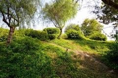 Azhar Park with lush greenery and a footpath