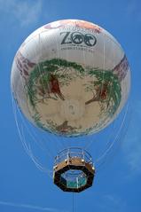 WPVI Zoo Balloon at Philadelphia Zoo