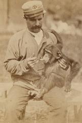 zoo employee spoon-feeding a baby chimpanzee on his lap