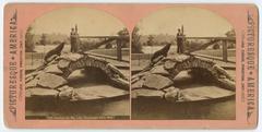 employee feeding sea lion at Zoological Garden in Fairmount Park