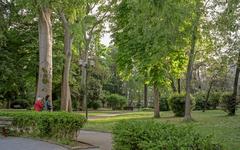 Savorgnan's garden in Venice