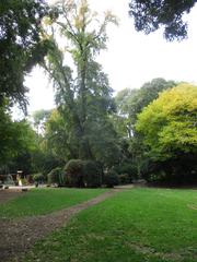 garden view of Palazzo Savorgnan public park