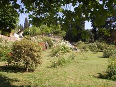 Rose garden with blooming flowers and scenic view of cityscape