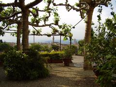 Rose garden in Piazzale Michelangelo, Florence, Italy