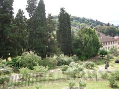 pathway in Giardino delle Rose with blooming roses and Florence cityscape