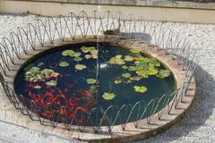 Pond with goldfishes in Giardino delle Rose