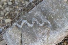 Belorhaphe ichnofossil in sandstone at Punta San García