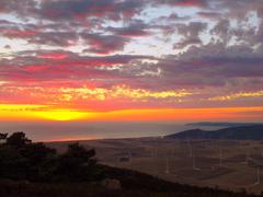 Special Area of Conservation in Bolonia, Tarifa, Spain