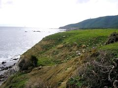 Cala Arena, Algeciras