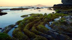 Special Area of Conservation landscape in Spain