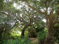 Special Area of Conservation in Spain