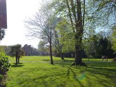 View of Le Parc de la Briantais featuring lush greenery and scenic landscape