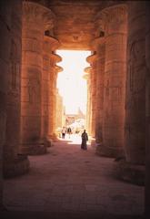 Ramesseum Temple ruins with columns and stone structure in the background