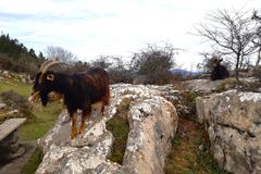 Summit of Mount Pagasarri, Basque Country