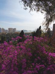 Alcazaba in Málaga, Spain