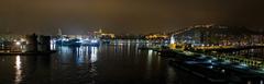 Night view of Málaga with city lights