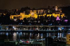 Night view of Málaga