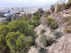 Alcazaba of Málaga, Spain