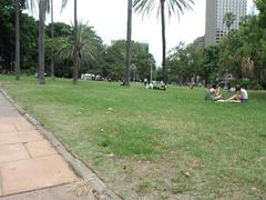 urban garden surrounded by buildings