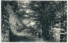 Stolpen Partie im Stadtpark 1913