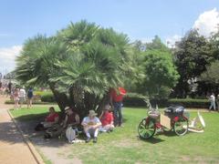 Participants of the March Against Monsanto in Jackson Square, New Orleans.