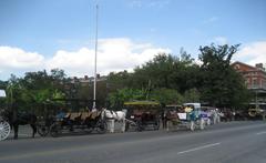 Carriages on Decatur Street in front of Jackson Square, New Orleans