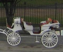 Close-up of New Orleans horse carriage at Jackson Square