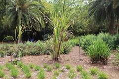 Flora at Jacksonville Zoo