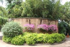 colorful flora at Jacksonville Zoo