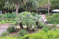 Jacksonville Zoo lush greenery and water body