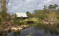 Asian Bamboo Garden in Jacksonville Zoo