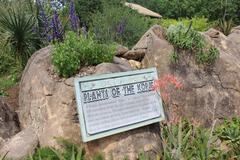 A picturesque scene of the Kopje at Jacksonville Zoo featuring diverse plant life