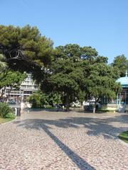 Jardin Albert 1er in Nice on a sunny day