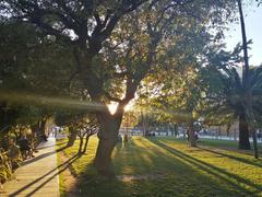 Coulée Verte park in Nice