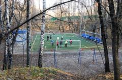 Football ground in Neskuchny Garden, Moscow