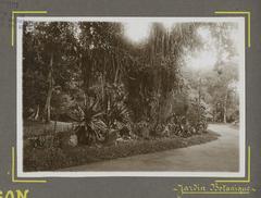 pathway in Saigon Botanical Garden