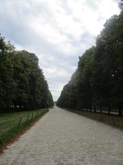 tree-lined pathway in Versailles Park during August