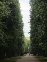 Allée de Tilleul in the park of Versailles