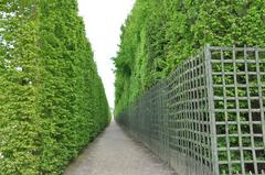 Gardens at Palace of Versailles with tall hedges and musical fountains