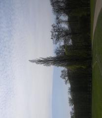 Gardens of Versailles