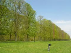 Gardens of Versailles