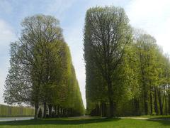 Gardens of Versailles featuring meticulously manicured lawns and symmetrical pathways