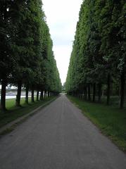 Château de Versailles gardens