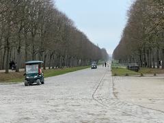 Allée de la Petite Venise in the garden of Château de Versailles