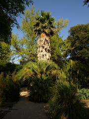 Bordeaux Jardin Public historical monument