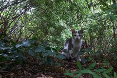 Citizen of Jardin public de Bordeaux